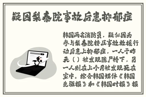 我的岳大人吴芬